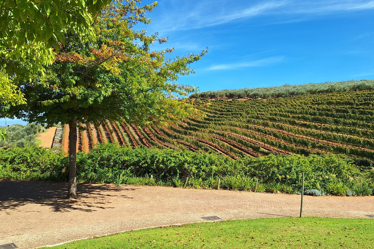 Private Wine Tasting tour