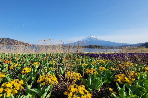 MOUNT FUJI FULL DAY CUSTOMIZED PRIVATE (ENGLISH GUIDED) TOUR