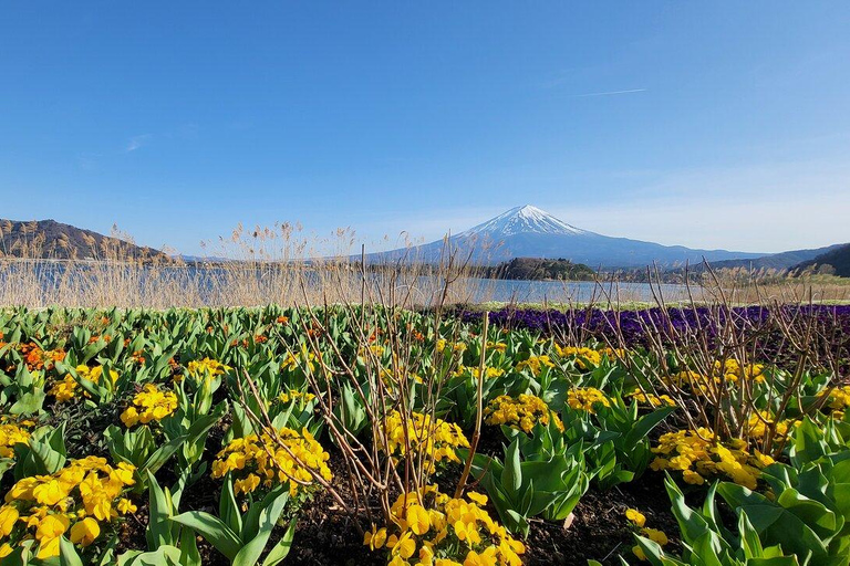 MOUNT FUJI FULL DAY CUSTOMIZED PRIVATE (ENGLISH GUIDED) TOUR