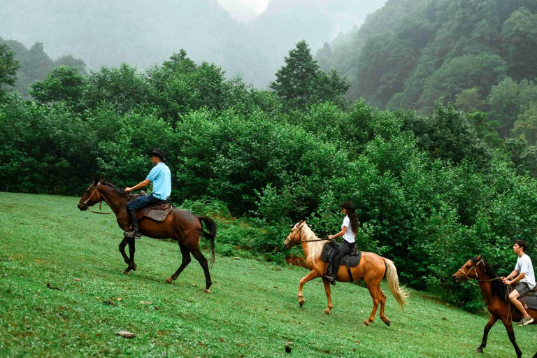 تبليسي: كنيسة مانجليسي سيوني والبحيرة ورحلة نهارية في المنتزه