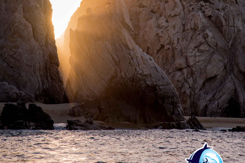 Sunset Whale Watching Cruise in Cabo San Lucas