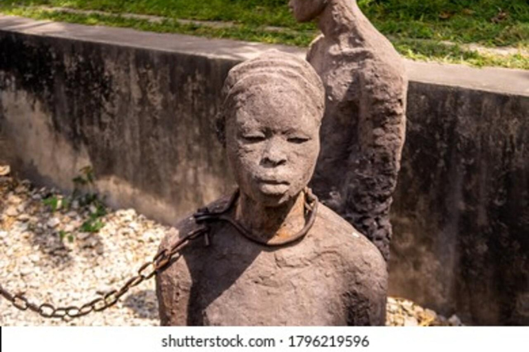 桑给巴尔：石头城、监狱岛和萨拉姆洞海龟