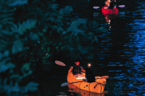 Beijing: Longtan Park Illuminated Boat Party Double boat