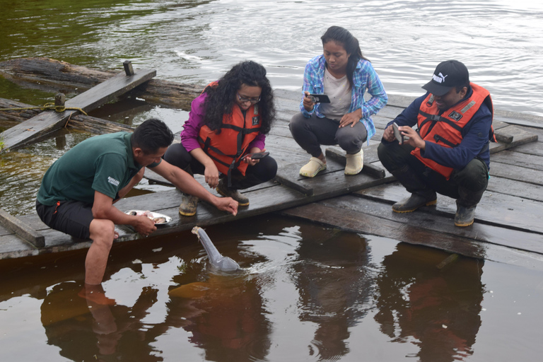 Explore Yasuní: 4-Day, 3-Night Getaway in a Standard Room Yasuní, 4 days and 3 nights. Standard room.