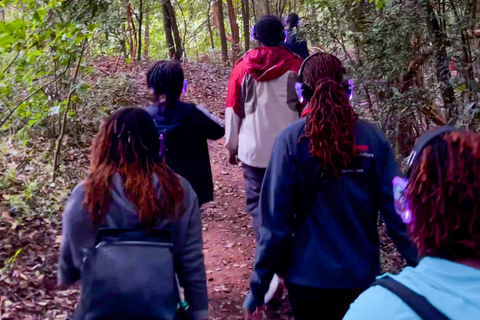 Karura Forest: Audio Film Trek & Picnic Paint