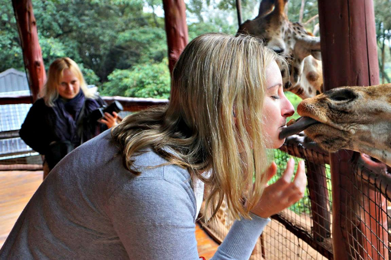 Elephants, Giraffe center, Blixen Museum and Bomas of Kenya