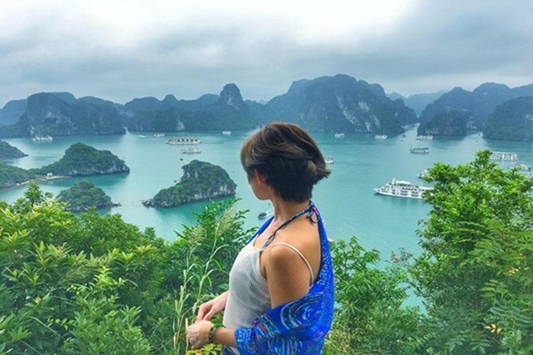 Visite d'une journée de la baie d'Halong 6 heures Croisière commentée, déjeuner, kayakVisite d'une jounée de la baie d'Halong en petit groupe avec déjeuner et kayak