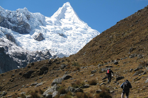 Huaraz: 8-Day Alpamayo Hiking Expedition