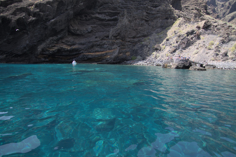 Los Gigantes: Tour de avistamiento de ballenas o delfines y baño en Masca