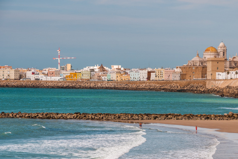 Cadiz: Private Guided Tour with Your Mobile Phone Cadiz: The Code of La Pepa and the Secrets of 1812 with Kit and Live Guide
