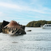 Port Adelaide: Dolphin and Ships Graveyard Cruise