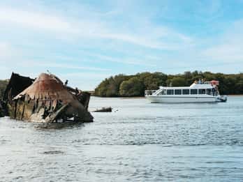 Port Adelaide: Dolphin and Ships Graveyard Cruise