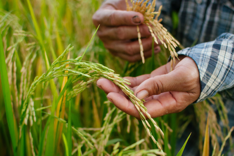 Dimbulagala Eco Trekking and Village Tour From Polonnaruwa