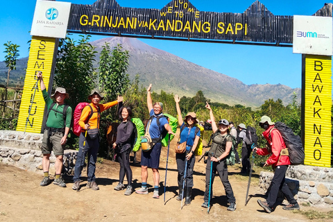From Lombok: Kanawa Island and Whale Shark Tour with Meals