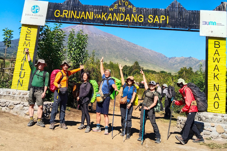 From Lombok: Kanawa Island and Whale Shark Tour with Meals