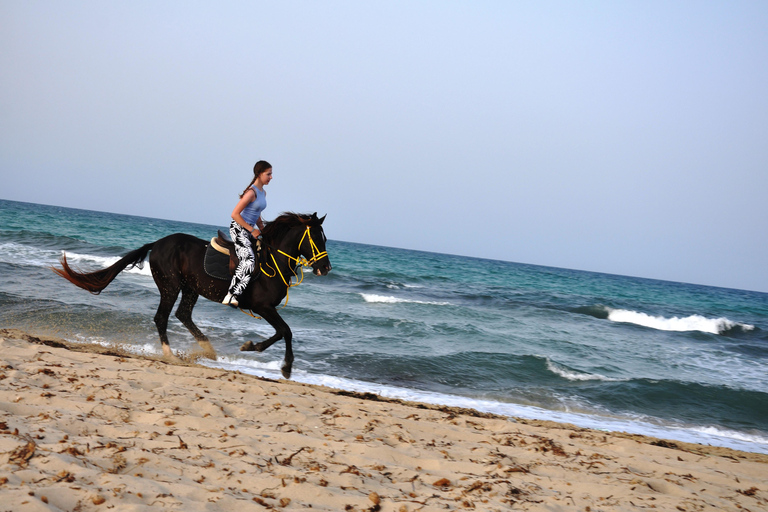 DJERBA : Paseo a caballo privado (2h).