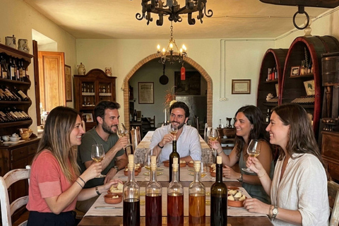 Winery & Vineyard Tour with Guided Tasting near Pisa Wine Tour in English