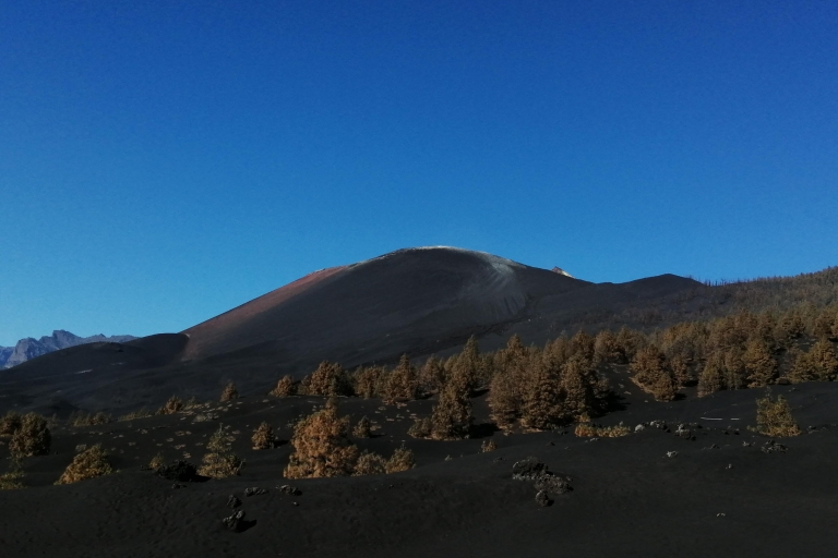 Santa Cruz de La Palma: New Tajogaite Volcano Route Tour