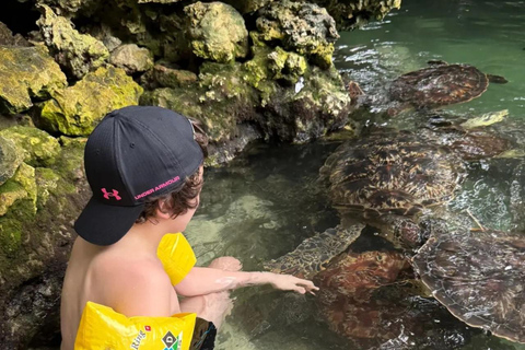 ZANZIBAR: Sea Turtle Swimming & Feeding Experience in NUNGWI