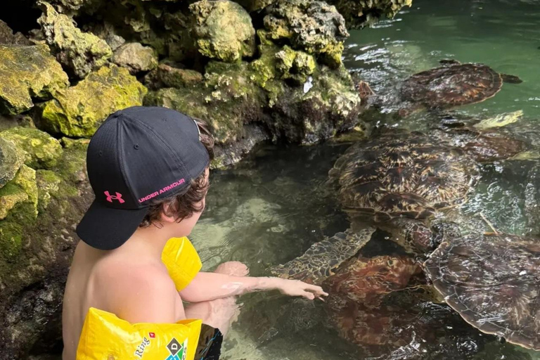ZANZIBAR: Sea Turtle Swimming & Feeding Experience in NUNGWI