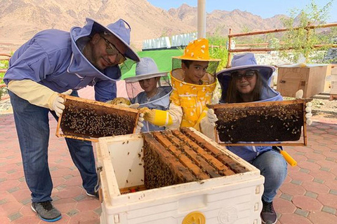 Dubai: Private Hatta City Tour with Kayaking Ride.