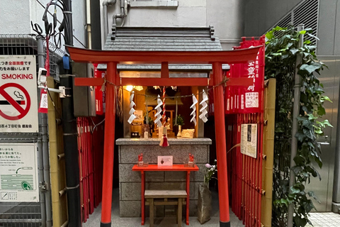 Tsukiji Fish Market+Lunch +Asakusa Tea +Akiba Maid Cafe tour