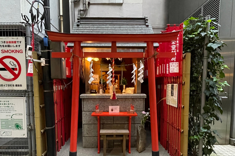 Tsukiji Fish Market+Lunch +Asakusa Tea +Akiba Maid Cafe tour