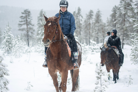 Rovaniemi: Horseback Ride & Lappish Lunch at Ranch