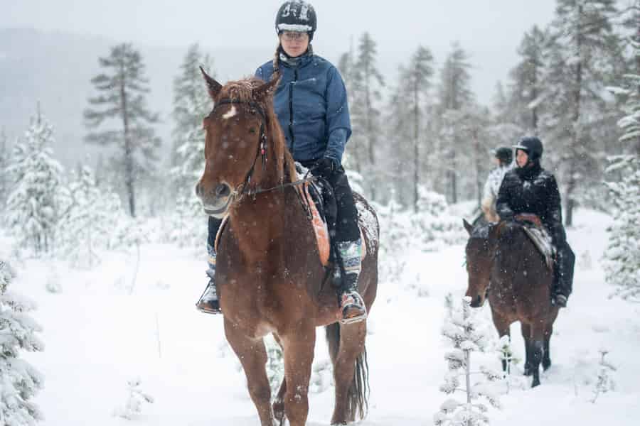 Rovaniemi: Winterausritt auf verschneiten Hügeln und durch Wälder. Foto: GetYourGuide Rovaniemi: Winterausritt auf verschneiten Hügeln und durch Wälder. Foto: GetYourGuide