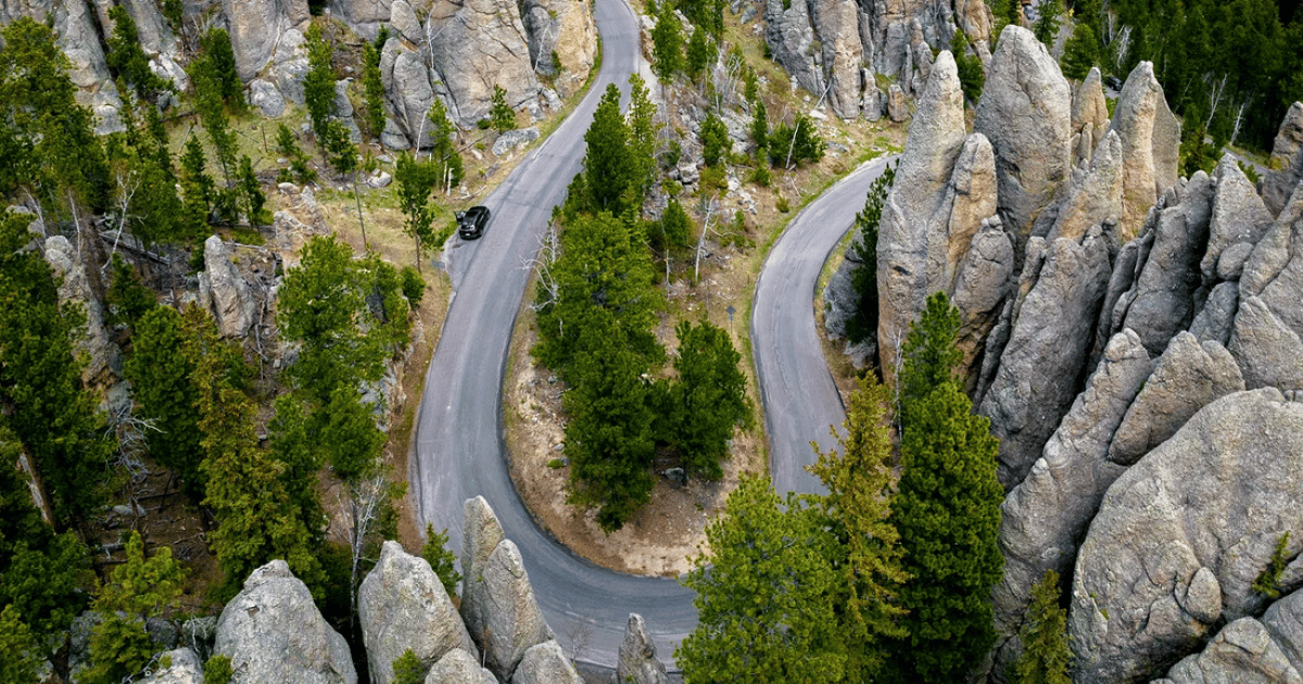 From Rapid City: Custer State Park and Needles Highway Tour | GetYourGuide