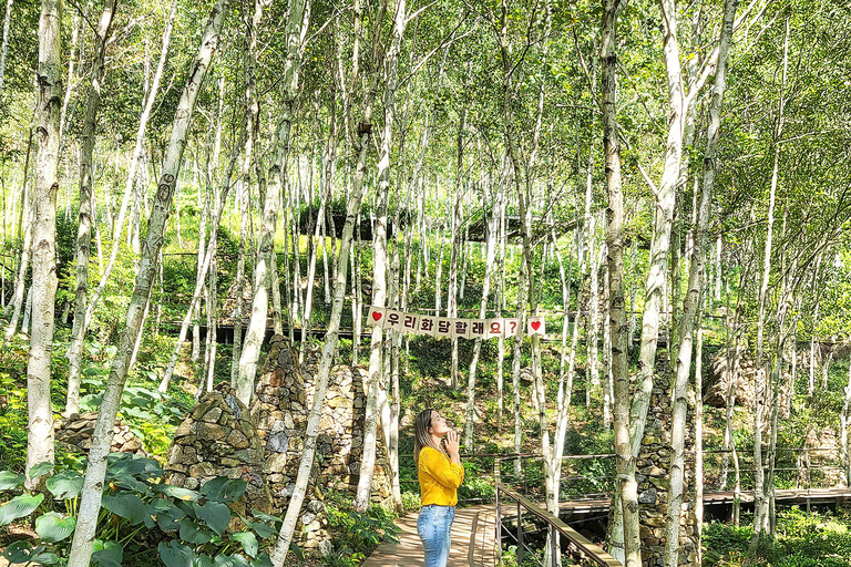 Seoul: Hwadam Forest & Namhansanseong & Korean Folk Village Private Tour (1-8 people Max)