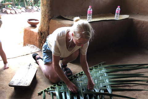 Sigiriya et Dambulla visite privée d&#039;une jounéeCircuit au départ de Kaluthara / région de Wadduwa