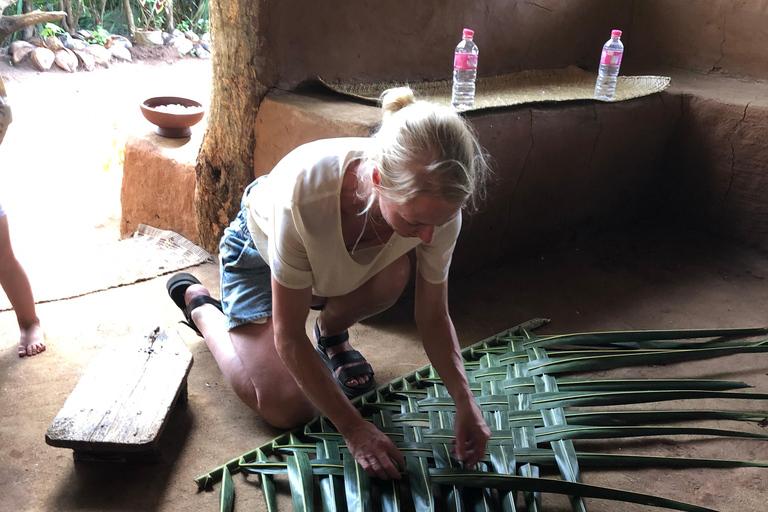 Sigiriya et Dambulla visite privée d&#039;une jounéeCircuit au départ de Kaluthara / région de Wadduwa