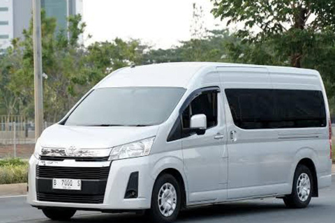 Mactan-Cebu Internationale Luchthaven: Moalboal VervoerPrivé autotransfer (1-4 personen)