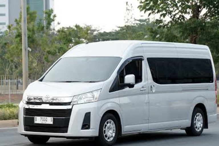 Mactan-Cebu Internationale Luchthaven: Moalboal VervoerPrivé autotransfer (1-4 personen)