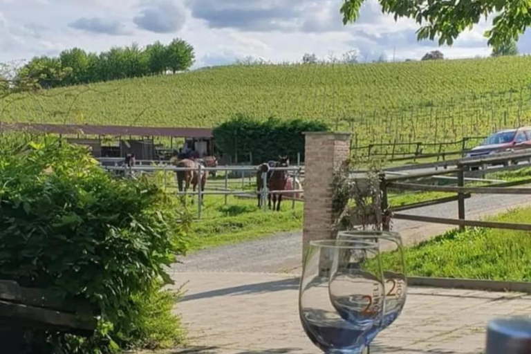 Monferrato: Horseback Riding in Nature with Lunch at a Farmhouse
