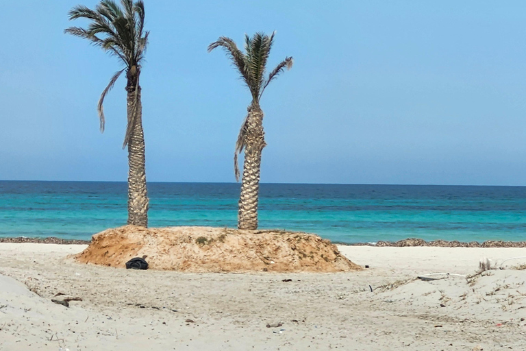 Djerba: Ride to the Pink Flamingo Peninsula by Electric Bike