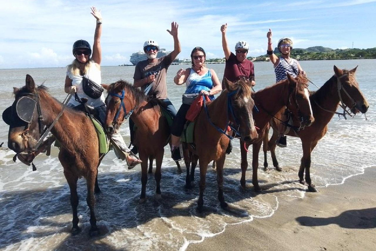 Puerto Plata: Beach Horseback Ride Adventure