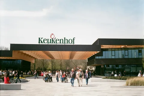 Amsterdam: Keukenhof & Countryside - With Private Driver