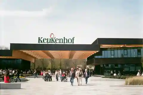 Amesterdão: Keukenhof e Campo - Com motorista privado