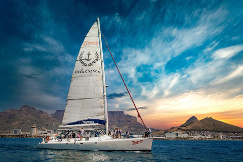 Cape Town: Sunset Catamaran Cruise with Sparkling Wine