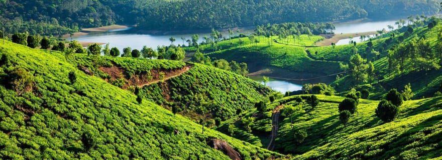 Au départ de Kochi : Circuit de 3 jours dans le sanctuaire de Periyar