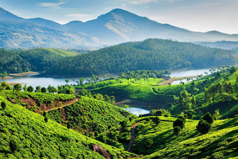 Amazing Munnar Alleppey Tour 4D/3N