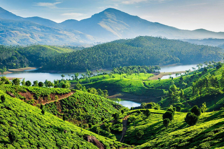 Amazing Munnar Alleppey Tour 4D/3N