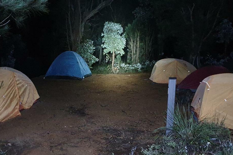 Perth: Excursión nocturna al Monte Cooke