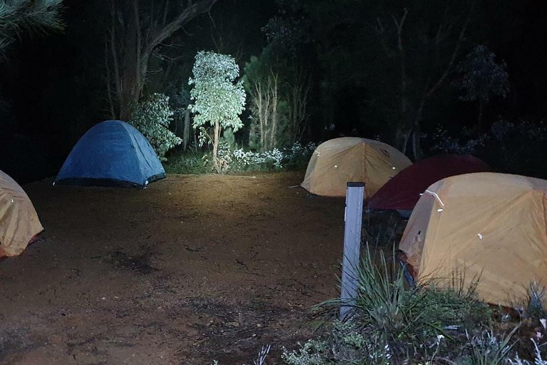 Perth : Randonnée de nuit au Mont Cooke