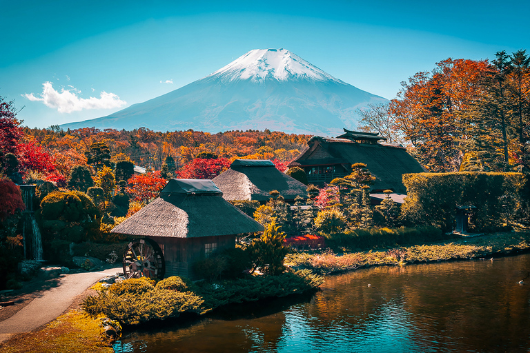 Från Tokyo: Fuji-berget heldags sightseeingflyktFrån Shinjuku Station