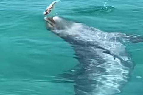 Destin: Original Cruisin Tikis Crab Island Cruise + Games