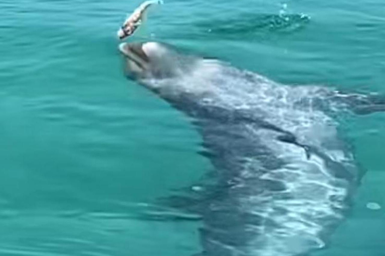 Destin: Original Cruisin Tikis Crab Island Cruise + Games