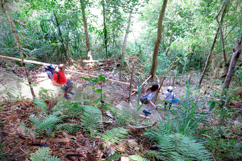 Wschodni Bohol: Anda, tarasy ryżowe, wodospady, wyspa Lamanok